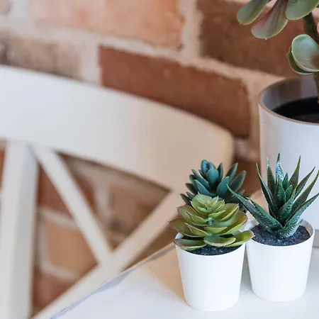 Guestready - Crayon Walls * 포르투